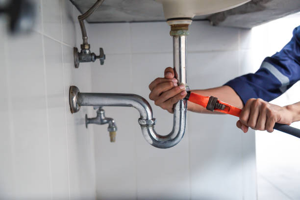 Best Clogged Drain Plumber  in Hartford, WI
